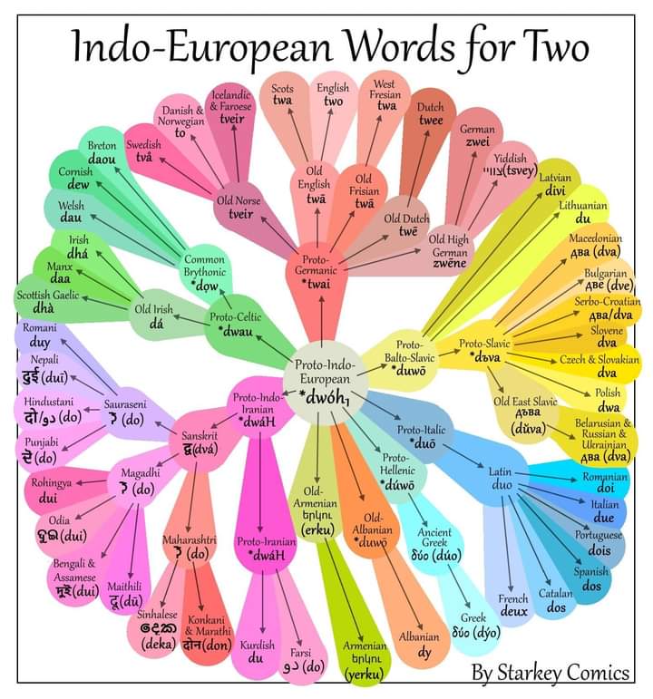 связь индоевропейских языков на примере слова два
