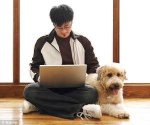 персональный компьютер вытесняет домашнюю собаку в качестве лучшего друга