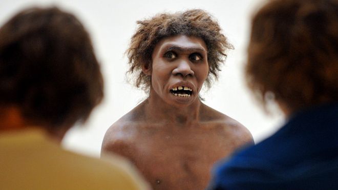 Неандертальцы были нашими близкими родственниками. Или всё-таки нет?