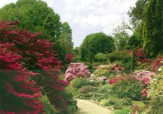 Leonardslee Gardens
