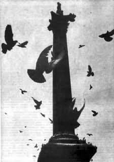 колонна, которую венчает фигура Нельсона, на Трафальгарской площади в Лондоне