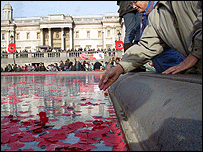 красные маки - символ пролитой крови - носят в эти дни на груди миллионы британцев
