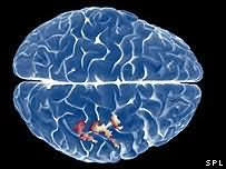 учёные исследуют подсознание путем сканирования мозга