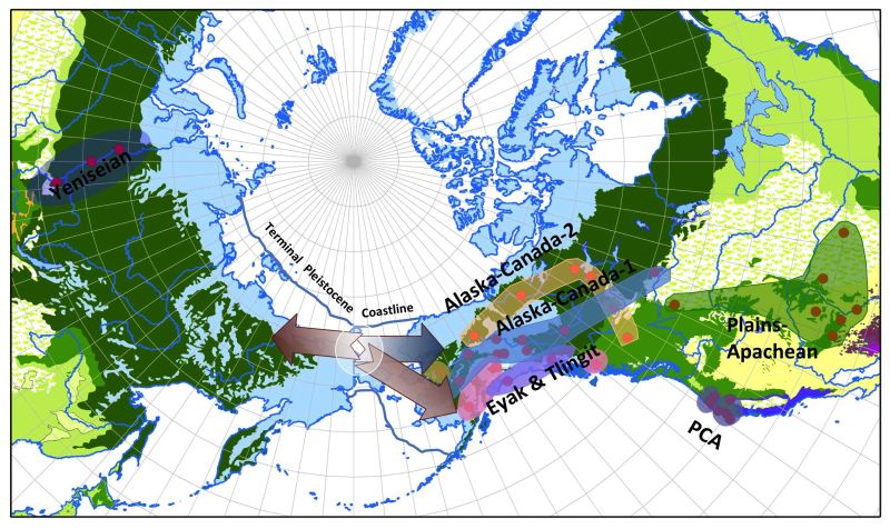 Сибирь и Северная Америка были заселены потомками населения, жившего какое-то время в Берингии