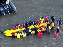 спасатели погрузили кита на специальный понтон