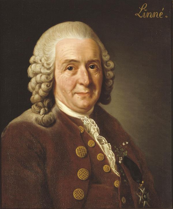   (    , 1775 )   